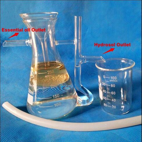 New Home Essential Oil and Hydrosol Water Receiver-Separator Lab Kits 250ml-5000ml Used on The Essential Oil Distillation Kits (250ml) in Saudi Arabia