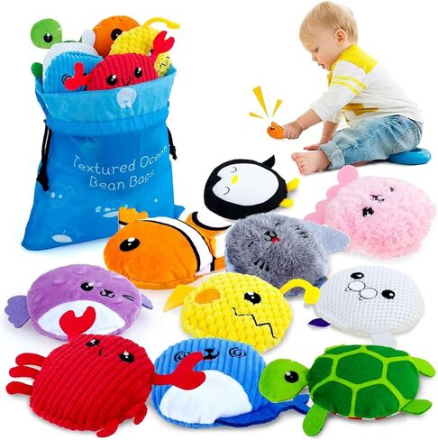 teytoy Sensory Bean Bag for Kids 10 Pack,Texture Sensory Beanbags,Sensory Toys for Autism,Stuffed Animal Sensory Fine Motor Toys with Storage Bag for Boys and Girls in Kuwait