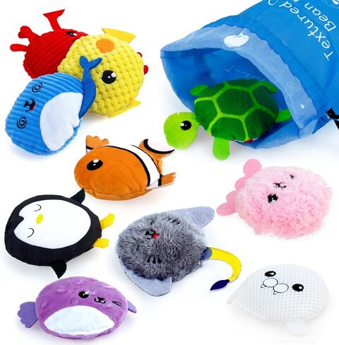 teytoy Sensory Bean Bag for Kids 10 Pack,Texture Sensory Beanbags,Sensory Toys for Autism,Stuffed Animal Sensory Fine Motor Toys with Storage Bag for Boys and Girls in Kuwait