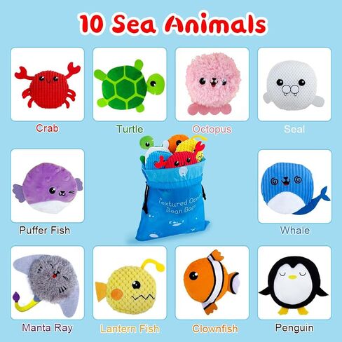 teytoy Sensory Bean Bag for Kids 10 Pack,Texture Sensory Beanbags,Sensory Toys for Autism,Stuffed Animal Sensory Fine Motor Toys with Storage Bag for Boys and Girls in Kuwait