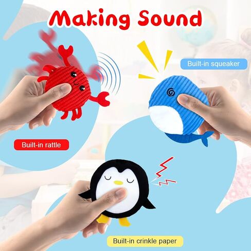 teytoy Sensory Bean Bag for Kids 10 Pack,Texture Sensory Beanbags,Sensory Toys for Autism,Stuffed Animal Sensory Fine Motor Toys with Storage Bag for Boys and Girls in Kuwait