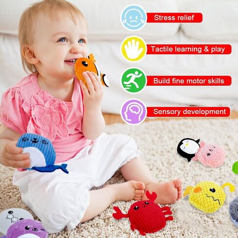 teytoy Sensory Bean Bag for Kids 10 Pack,Texture Sensory Beanbags,Sensory Toys for Autism,Stuffed Animal Sensory Fine Motor Toys with Storage Bag for Boys and Girls in Kuwait