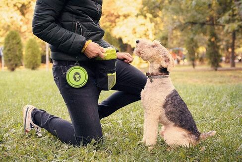 PERRAMA Dog Treat Bag, Training Pouch for Small and Large Dogs with Clicker and Collapsible Food Bowl BPA Free – Pet Treats Tote Bag with Waist and Shoulder Reflective Straps and Belt Clip (Blue) in Saudi Arabia