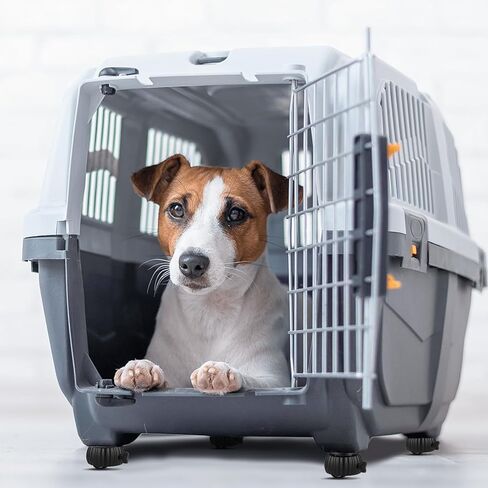 HOWDIA Self Adhesive Mini Caster Wheels, 4 Pack Braked Small Universal Wheels for Furniture Bucket 28 LBS Load Capacity Per Wheel, Low Profile Roller Casters for Small Appliance Storage Bins(Black) in Kuwait