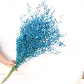19-23inch Preserved Natural Limonium Bouquet, 28+ Stems Real Fresh Caspia Bellidifolium, Sea Lavender, Baby Breath Flowers, for Wedding Birthday,Home Décor(Blue)
