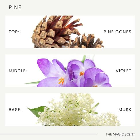 Pine Aroma Oil - Diffuser Oil Scent - Cold-Air & Ultrasonic Diffuser Oil - Pine Essential Oil - Essential Oils for Diffusers Aromatherapy - Pine Oil - 6.8 fl oz, 200 mL in Kuwait