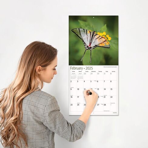 RED EMBER Butterflies 2025 Hangable Monthly Wall Calendar | 12" x 24" Open | Thick & Sturdy Paper | Giftable | Beautiful Garden Nature in Kuwait
