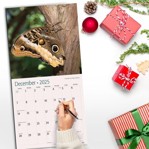 RED EMBER Butterflies 2025 Hangable Monthly Wall Calendar | 12" x 24" Open | Thick & Sturdy Paper | Giftable | Beautiful Garden Nature in Kuwait