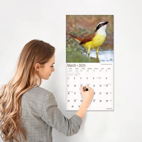 RED EMBER Butterflies 2025 Hangable Monthly Wall Calendar | 12" x 24" Open | Thick & Sturdy Paper | Giftable | Beautiful Garden Nature in Kuwait