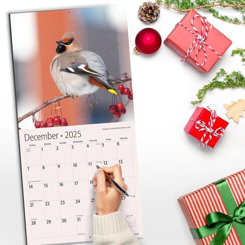 RED EMBER Butterflies 2025 Hangable Monthly Wall Calendar | 12" x 24" Open | Thick & Sturdy Paper | Giftable | Beautiful Garden Nature in Kuwait