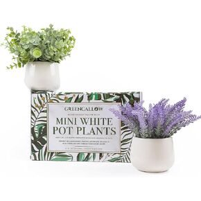 GreenCallow Artificial Plants for Home Decor Indoor. 4 Mini Plants, Rosemary Faux Plant Decor, Eucalyptus Plant, Grass Plants. Small Fake Shelf or Desk Greenery Décor