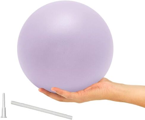 9 Inch Exercise Pilates Ball Mini Exercise Barre Ball for Yoga,Stability Exercise Training Gym Anti Burst and Slip Resistant Balls Physical Therapy Improves Balance, Core Strength in Saudi Arabia