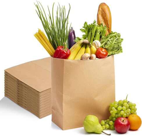 Kraft Paper Bags Paper Lunch Bags 100 Pack Brown Paper Bags Heavy Duty Grocery Bags Retail Bags for Food Shopping Party in Saudi Arabia