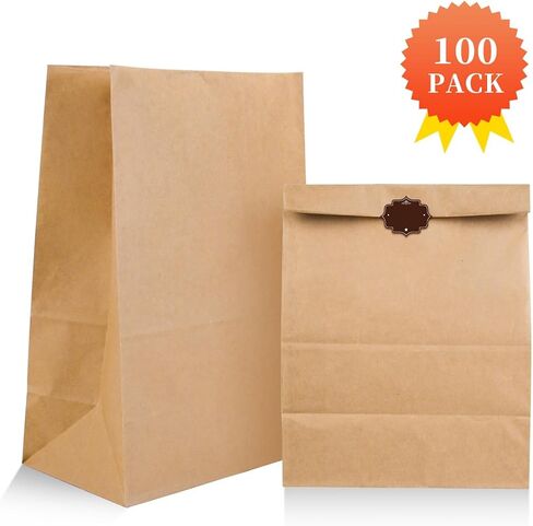 Kraft Paper Bags Paper Lunch Bags 100 Pack Brown Paper Bags Heavy Duty Grocery Bags Retail Bags for Food Shopping Party in Saudi Arabia