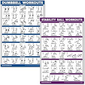 Palace Learning Dumbbell Workouts and Exercise Ball Poster Set - Laminated 2 Chart Set - Dumbbell Exercise Routine & Stability/Yoga Ball Workouts (18" x 24")