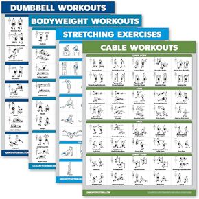 Palace Learning 4 Pack - Dumbbell Workouts + Bodyweight Workouts + Stretching Exercises + Cable Workout - Set of 4 Workout Charts (18" x 24", LAMINATED)