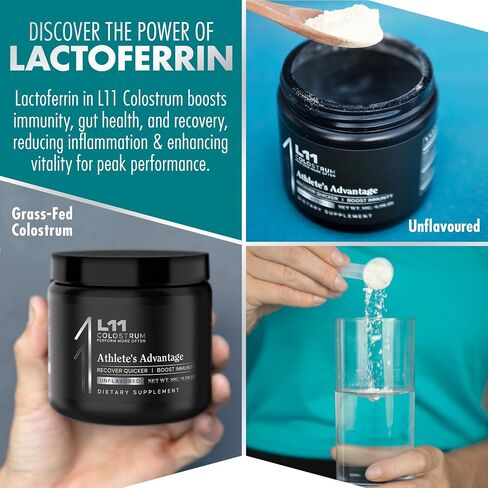 Powder for Adults - Lactoferrin Bovine Colostrum Powder for Gut, Muscle Support & Wellness, Chocolate, 30 Servings in Saudi Arabia