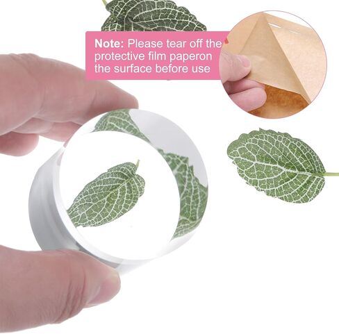 uxcell Acrylic Cylinder Display Blocks, 50 x 80 mm/2" x 3.1" Clear Jewelry Display Base Polished Cube Riser Stand Display Holder Base for Ring Jewelry Cosmetics in Kuwait