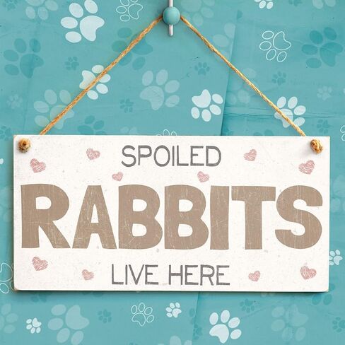Meijiafei Spoiled Rabbits Live Here - Pretty PVC Rabbit Sign/Plaque 10"x5" in Saudi Arabia