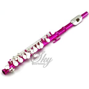 Sky(Paititi) Band Approved Hot Pink Laquer with Silver Keys Piccolo Key of C with Hard Case, Cloth, Cleaning Rod, Joint Greasae and Screw Driver,