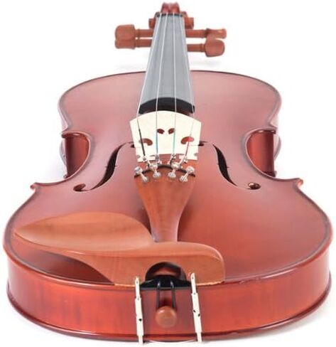 سيسيليو CVA-400 فيولا من الخشب الصلب، مقاس 16.5 بوصة in Kuwait