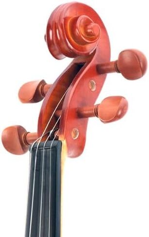 سيسيليو CVA-400 فيولا من الخشب الصلب، مقاس 16.5 بوصة in Kuwait