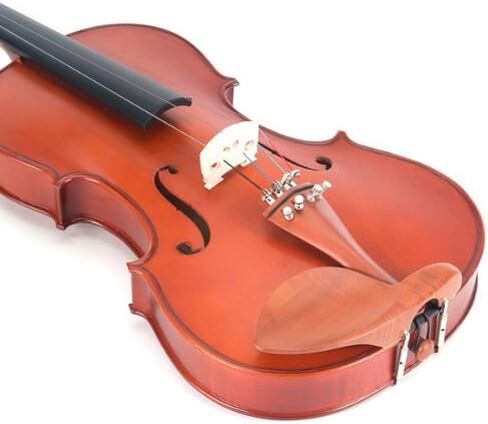 سيسيليو CVA-400 فيولا من الخشب الصلب، مقاس 16.5 بوصة in Kuwait