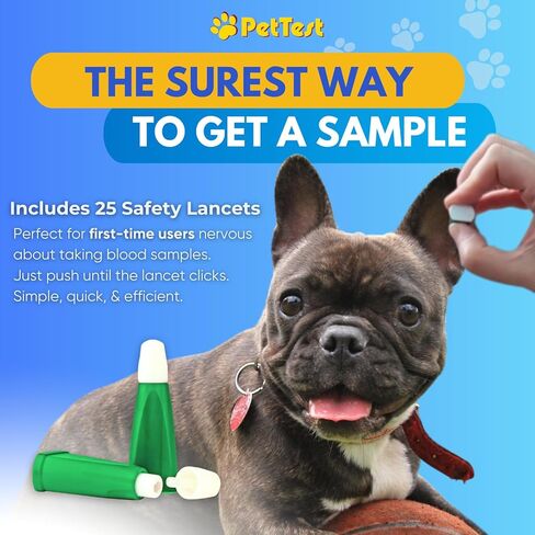 PetTest نظام مراقبة الجلوكوز غير مؤلم | مجموعة فحص نسبة السكر في الدم للكلاب والقطط - قيمة كبيرة - مجموعة كاملة تتضمن جهاز وخز لطيف، ومشارط، وشرائط اختبار، ومقياس الجلوكوز | مستلزمات مرضى السكري in Kuwait