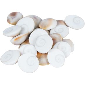 Gomati/Gomti Chakra for Puja (White) (21)