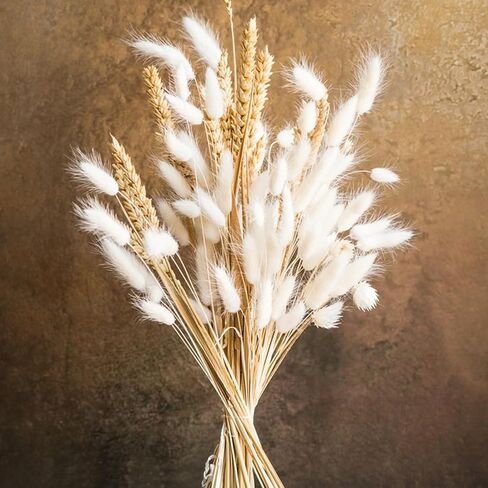 20 PCS Billy Balls Flowers Dried Golden Ball Flower Bouquet Dried Craspedia Globosa Decor for DIY Crafts Wreath Home Decor Cake Decor Wedding Decor Party Centerpieces Decor (Golden) in Kuwait