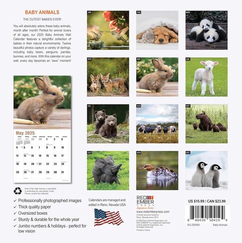 RED EMBER Guinea Pigs 2025 Hangable Monthly Wall Calendar | 12" x 24" Open | Thick & Sturdy Paper | Giftable | Kids Animals in Saudi Arabia