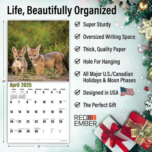RED EMBER Guinea Pigs 2025 Hangable Monthly Wall Calendar | 12" x 24" Open | Thick & Sturdy Paper | Giftable | Kids Animals in Saudi Arabia