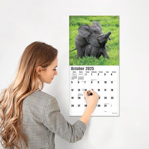 RED EMBER Guinea Pigs 2025 Hangable Monthly Wall Calendar | 12" x 24" Open | Thick & Sturdy Paper | Giftable | Kids Animals in Saudi Arabia
