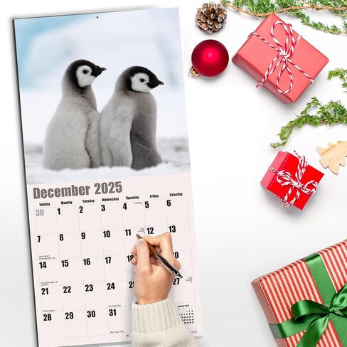 RED EMBER Guinea Pigs 2025 Hangable Monthly Wall Calendar | 12" x 24" Open | Thick & Sturdy Paper | Giftable | Kids Animals in Saudi Arabia
