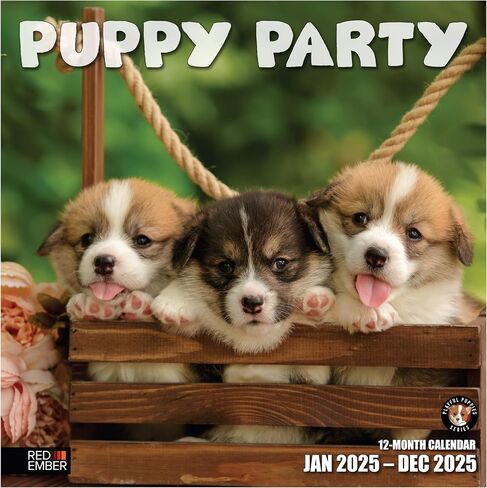 RED EMBER Guinea Pigs 2025 Hangable Monthly Wall Calendar | 12" x 24" Open | Thick & Sturdy Paper | Giftable | Kids Animals in Saudi Arabia