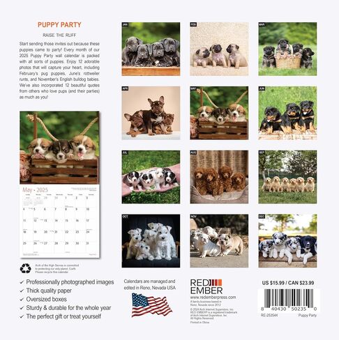 RED EMBER Guinea Pigs 2025 Hangable Monthly Wall Calendar | 12" x 24" Open | Thick & Sturdy Paper | Giftable | Kids Animals in Saudi Arabia