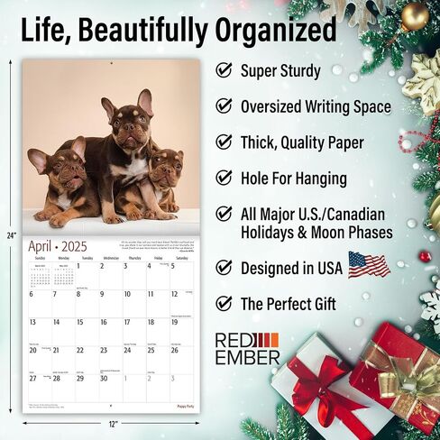 RED EMBER Guinea Pigs 2025 Hangable Monthly Wall Calendar | 12" x 24" Open | Thick & Sturdy Paper | Giftable | Kids Animals in Saudi Arabia