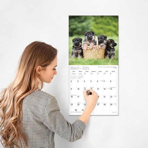 RED EMBER Guinea Pigs 2025 Hangable Monthly Wall Calendar | 12" x 24" Open | Thick & Sturdy Paper | Giftable | Kids Animals in Saudi Arabia