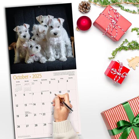 RED EMBER Guinea Pigs 2025 Hangable Monthly Wall Calendar | 12" x 24" Open | Thick & Sturdy Paper | Giftable | Kids Animals in Saudi Arabia