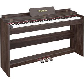 88 Key Fully Weighted Digital Piano Keyboard, 88 Keys Hammer Action Electric Pianos, Wooden Classic Upright Electronic Piano for Beginner, Professional, Midi Compatible, Triple Pedal (Brown)