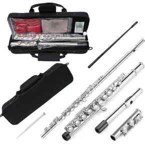 17 keys closed Hole C Flute with Case,cleaning Rod & Cloth & Joint Grease & and Gloves (17 keys closed Hole C Flute Nickel Silver)