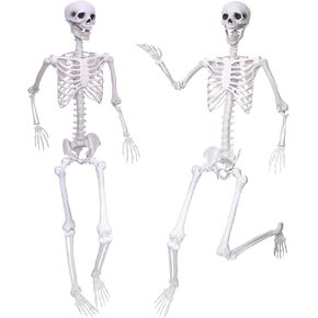 2PCS Skeletons Halloween Decorations,5.9Ft Halloween Life Size Skeletons with Movable Joints,Halloween Full Body Plastic Human Adult Skeletons for Halloween Indoor Outdoor Haunted House Decor
