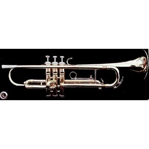 KING Trumpet-Standard، طلاء (601) in Kuwait