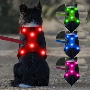 Safety LED Dog Harness - Light Up Dog Vest, No-Pull Dog Harness - Rechargeable Glowing Pet Harness for Night Walking & Camping (Red, S [Neck:12"-16.5"; Chest:17"- 25"])
