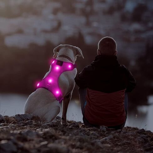 Safety LED Dog Harness - Light Up Dog Vest, No-Pull Dog Harness - Rechargeable Glowing Pet Harness for Night Walking & Camping (Red, S [Neck:12"-16.5"; Chest:17"- 25"]) in Kuwait