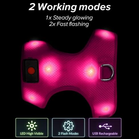 Safety LED Dog Harness - Light Up Dog Vest, No-Pull Dog Harness - Rechargeable Glowing Pet Harness for Night Walking & Camping (Red, S [Neck:12"-16.5"; Chest:17"- 25"]) in Kuwait