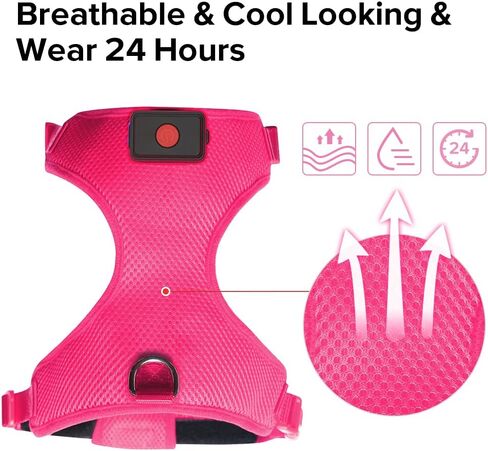 Safety LED Dog Harness - Light Up Dog Vest, No-Pull Dog Harness - Rechargeable Glowing Pet Harness for Night Walking & Camping (Red, S [Neck:12"-16.5"; Chest:17"- 25"]) in Kuwait