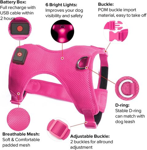 Safety LED Dog Harness - Light Up Dog Vest, No-Pull Dog Harness - Rechargeable Glowing Pet Harness for Night Walking & Camping (Red, S [Neck:12"-16.5"; Chest:17"- 25"]) in Kuwait
