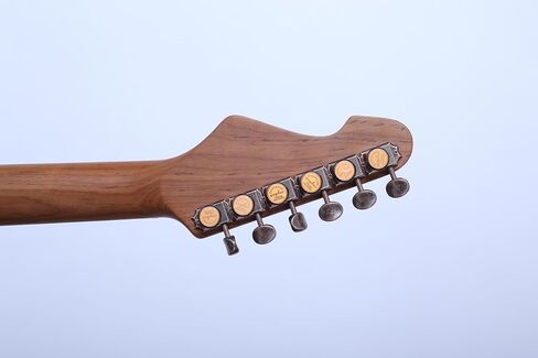 Guyker Full Size Electric Guitar 6 String Solid Body F-ST Strat Style - Right Handed Tuners, SSS Pickups, Potentiometer Knobs, for Beginner Intermediate & Pro Players(Ancient Bronze, Skeleton Surface) in Saudi Arabia