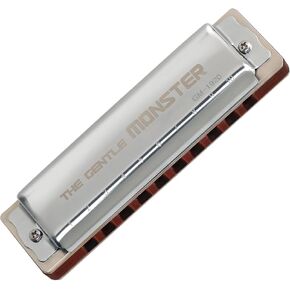 JDR Blues Harmonica Key of G Gentle Monster, Wood Blues Armonica 10 Hole Compromise Tuning Harp for Adults Kids Professional Beginners Mouth Organ with Case